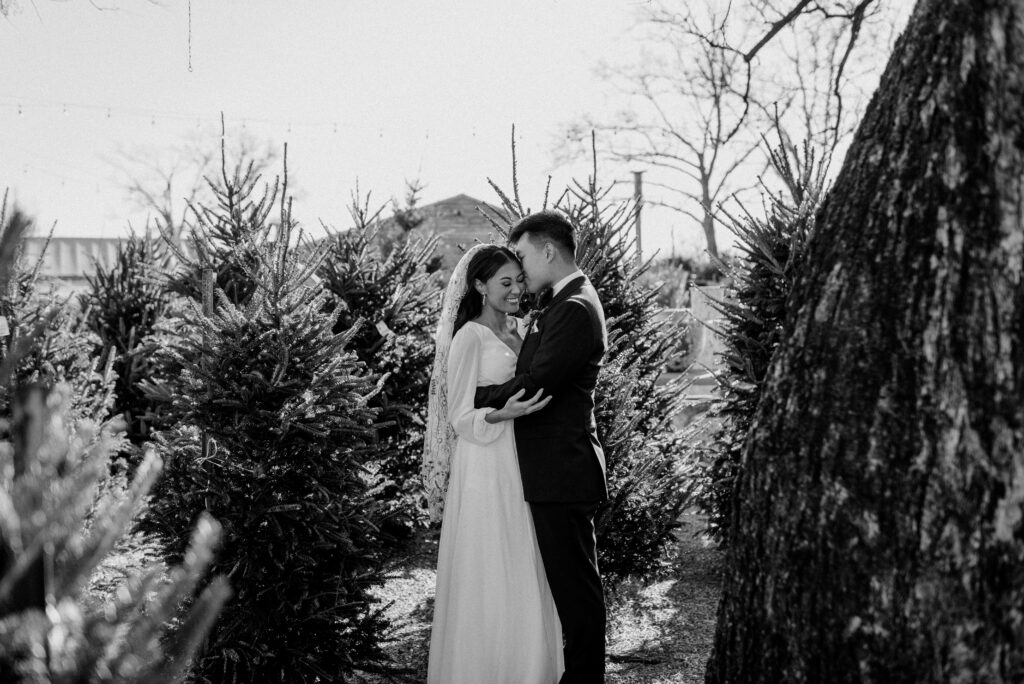 A groom kissing his bride on the cheek on their wedding day. Terrain at Styers.